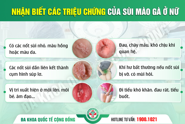 Mụn vùng kín ở nữ giới – Đừng im lặng khi cơ thể đang cầu cứu